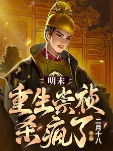 大明:我崇祯,左手枪右手炮